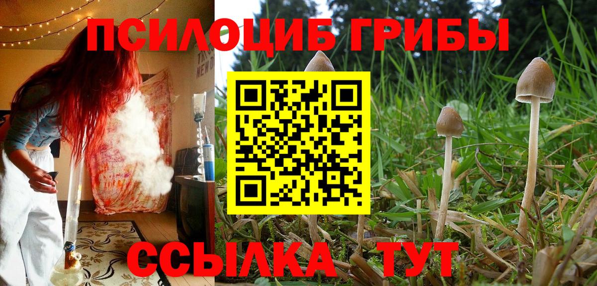 купить  цена  Вход с VPN  Старая Купавна  Псилоцибиновые грибы мицелий 